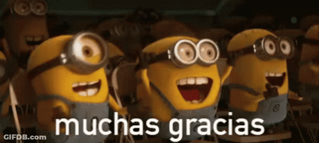 Gracias Meme GIF