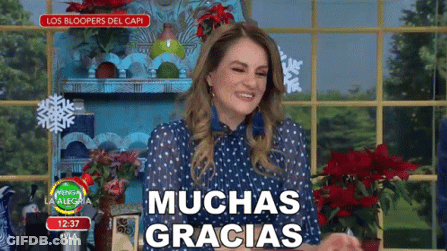 Gracias Meme GIF