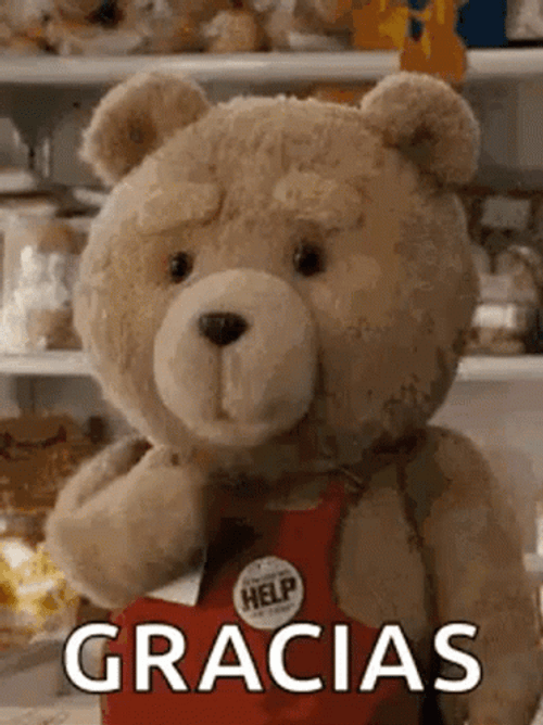 Gracias Meme GIF