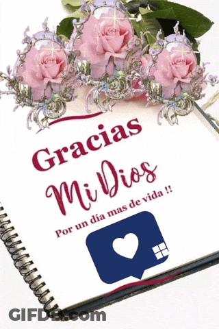Gracias Mi Dios Por Un Dia Mas De Vida GIF