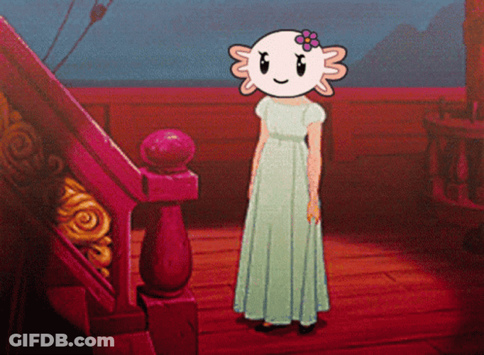 Gracias Por Ver GIF