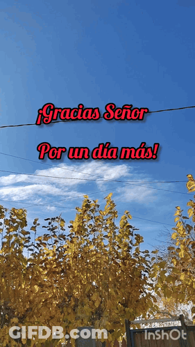Gracias Señor Por Un Dia Mas Sign With Trees GIF