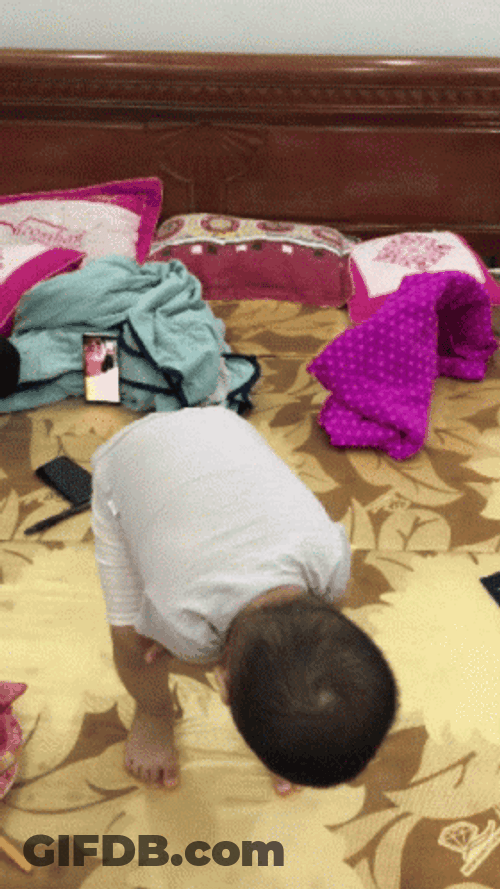 Gracias Totales GIF