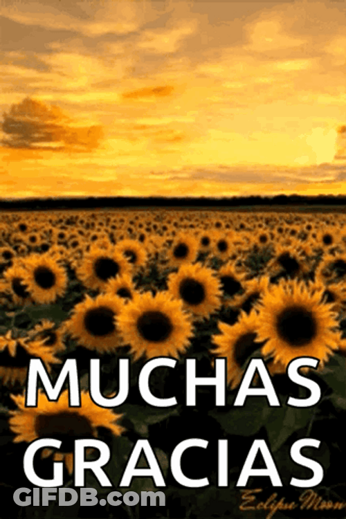 Gracias Totales GIF