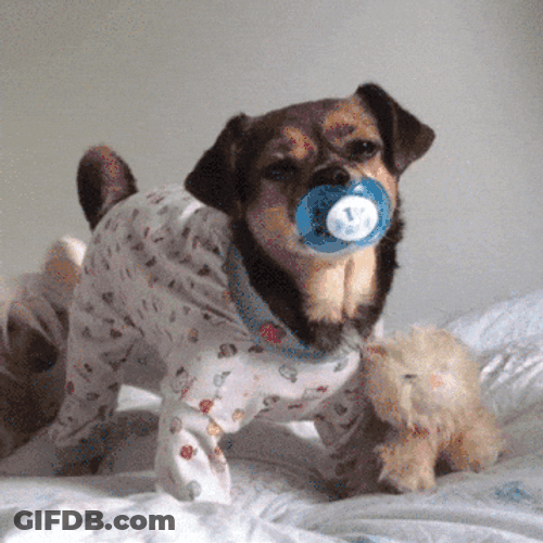 Gracioso Humor Buenas Noches GIF