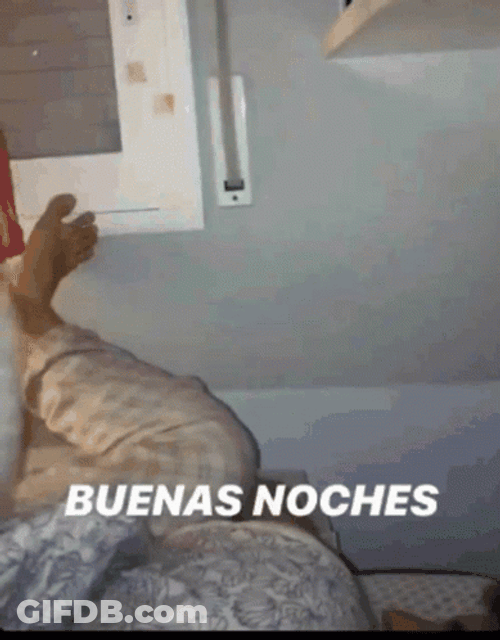 Gracioso Humor Buenas Noches GIF