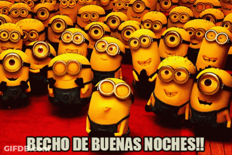 Gracioso Humor Buenas Noches GIF