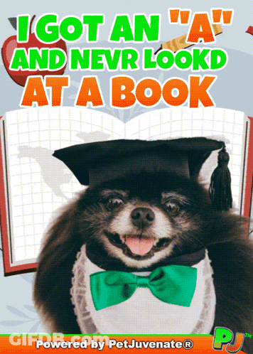 Grad Dog Bow Tie I Got An A GIF