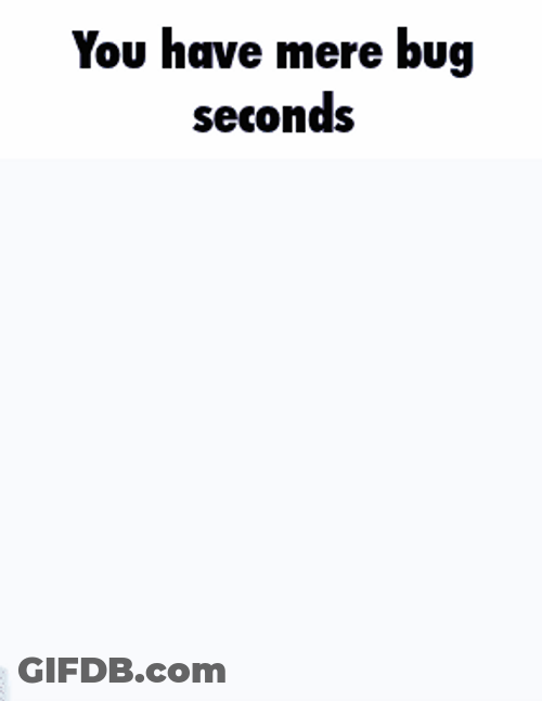 Gradient Bug Ice Breaking GIF