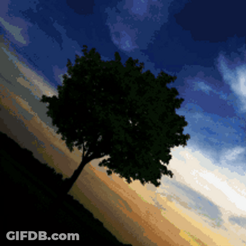 Gradient Color Glitching Tree GIF