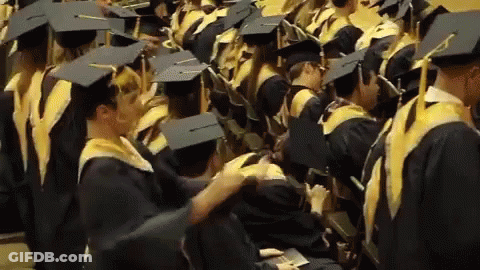 Graduates Sitting In A Row With Caps GIF