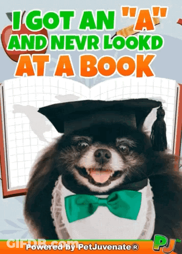Graduation Dog Saying I Got An A GIF