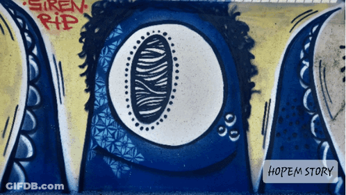 Graffiti On A Wall That Says Siren Rip GIF