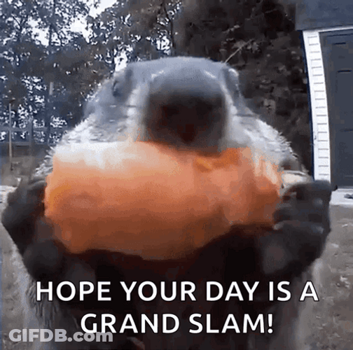 Grand Slam Groundhog Eating GIF