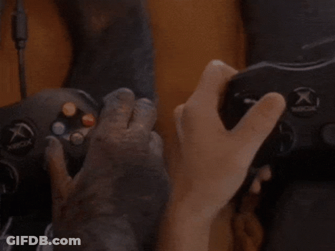 Grandmas Boy You Got Skill Monkey GIF