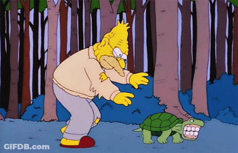 Grandpa Simpson Chasing Turtle That's Wearing His Dentures GIF