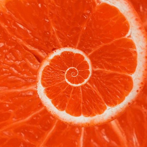 Grapefruit Hypnosis Spiral GIF