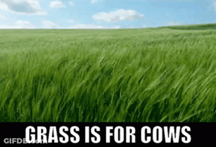 Grass Is For Cows GIF
