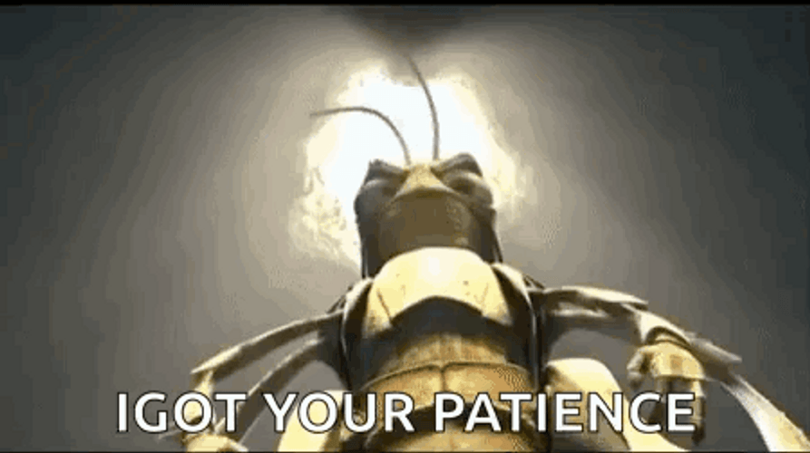 Grasshopper I Got Your Patience GIF