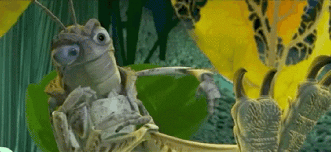 Grasshopper Shocked What GIF