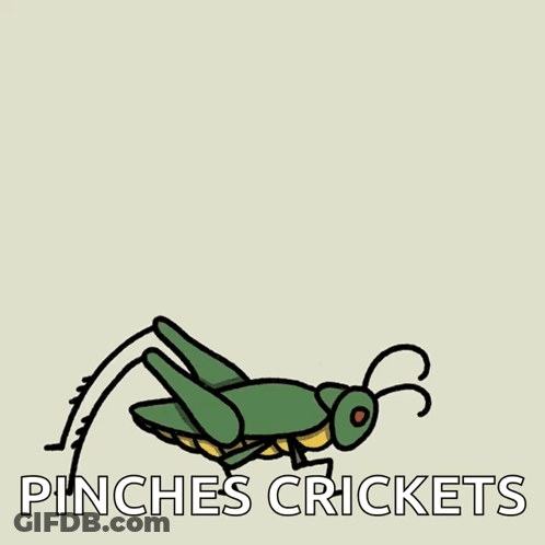 Grasshopper With Pinches Crickets GIF