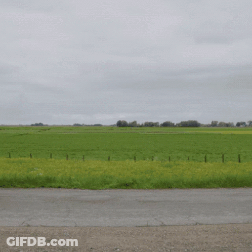 Grassy Field With Fence On Cloudy Day GIF