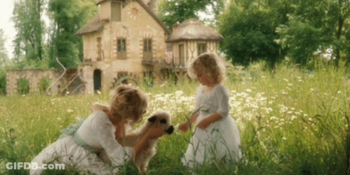 Grassy Field With White W GIF