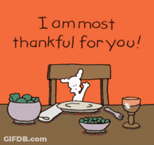 Grateful Chippy Dog GIF