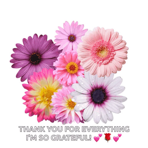 Grateful Colorful Daisies GIF