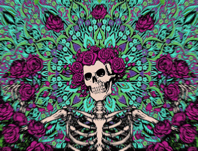 Grateful Dead Album Cover Skeleton And Roses GIF