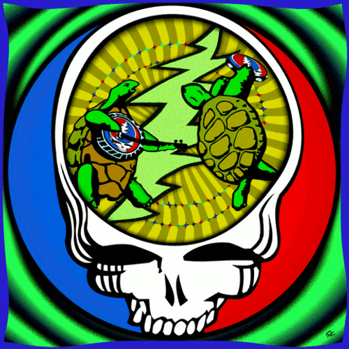 Grateful Dead Skull Featuring Turtles GIF