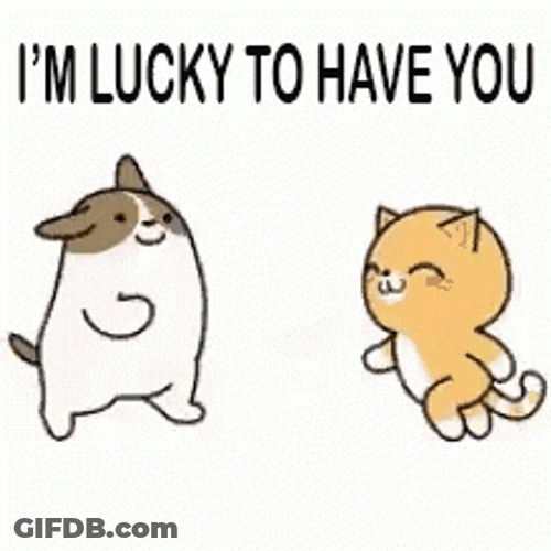 Grateful To Have You Cat Hug GIF