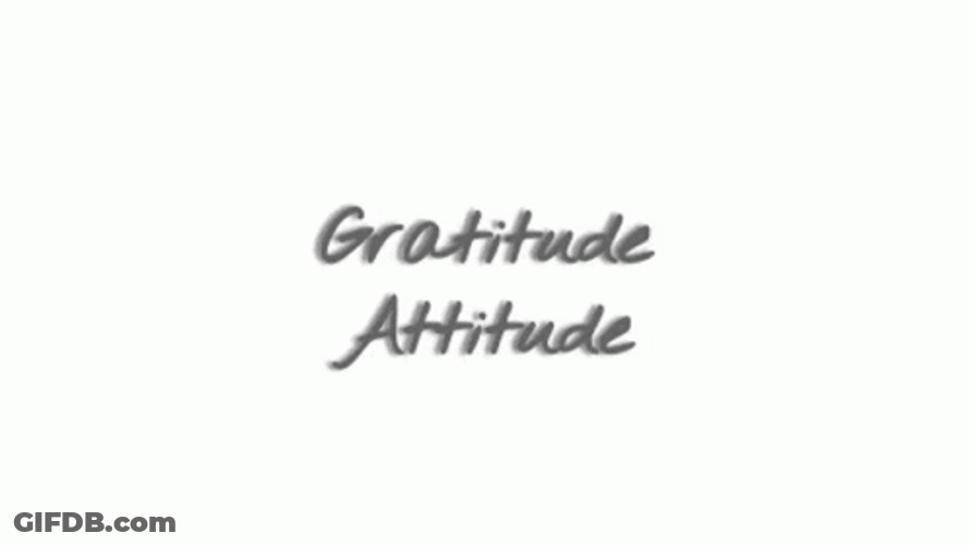 Gratitude And Attitude GIF