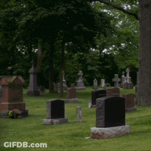 Gravestone For Nelson And Emily Nelson GIF