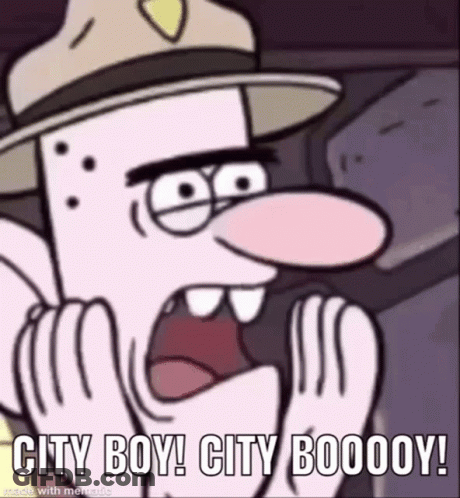 Gravity Falls Cartoon Screaming City Boy City Booooy GIF