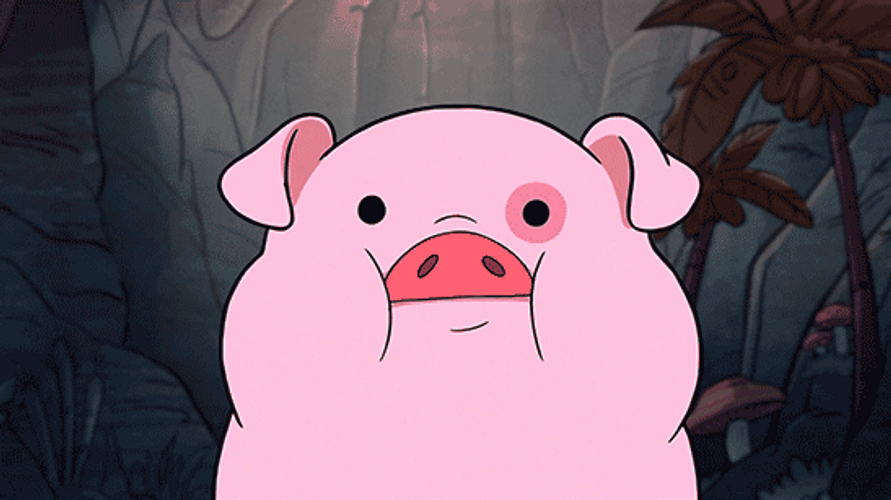 Gravity Falls Cartoon Waddles GIF
