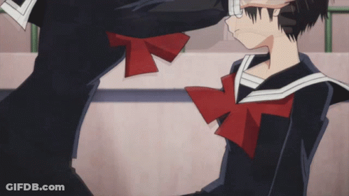 Gray And White Cat Dont Argue With Me Tiny Bro GIF