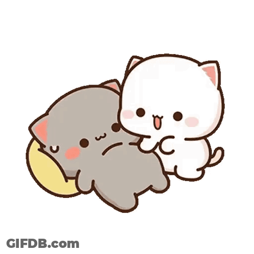 Gray And White Cat Laying Together GIF