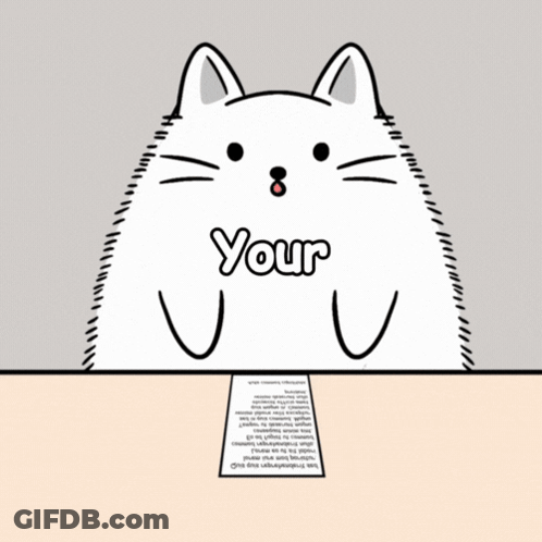 Gray And White Kitten Sitting On Pink Blanket GIF