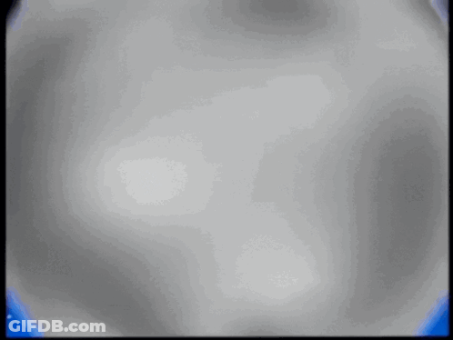 Gray Background Blue Border White Circle GIF