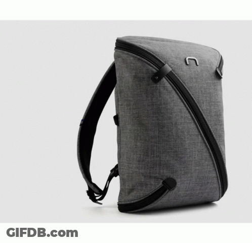 Gray Backpack With Black Zipper And Letter N GIF