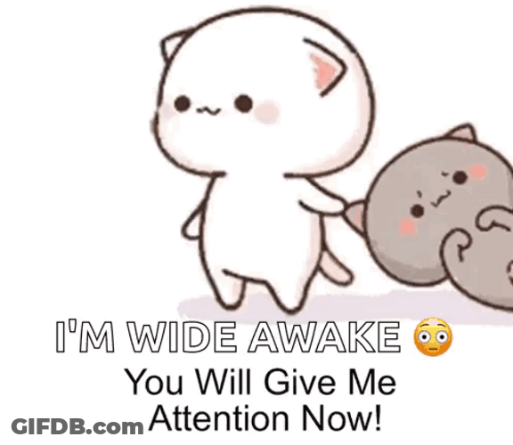 Gray Cat Being Dragged Im Awake GIF