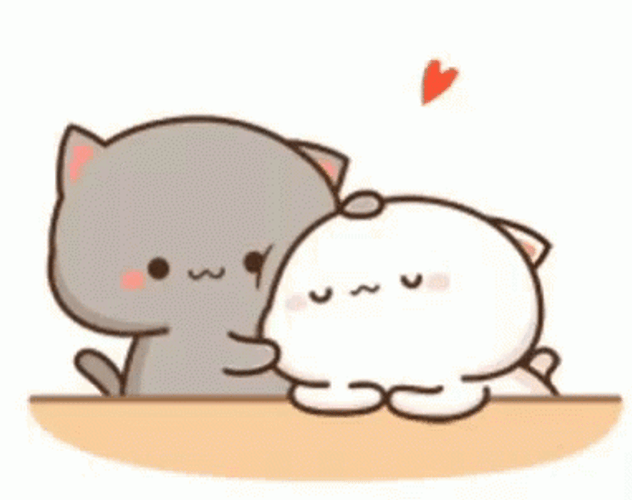 Gray Cat Cuddle Love GIF