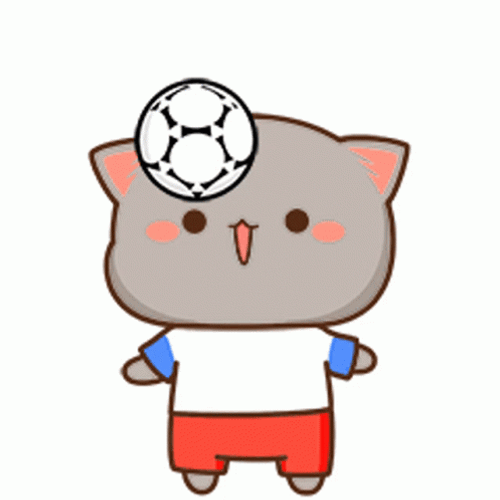 Gray Cat Football Time GIF