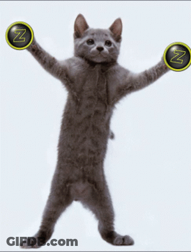 Gray Cat Holding Z Circles GIF