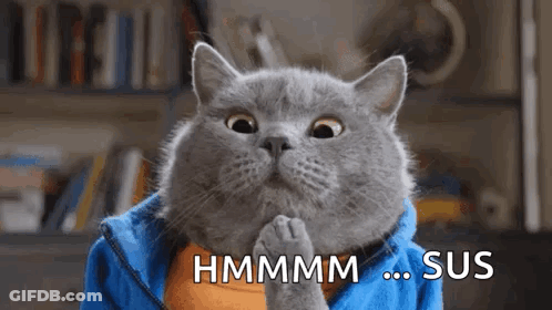 Gray Cat In Blue Jacket Saying Hmmm Sus GIF
