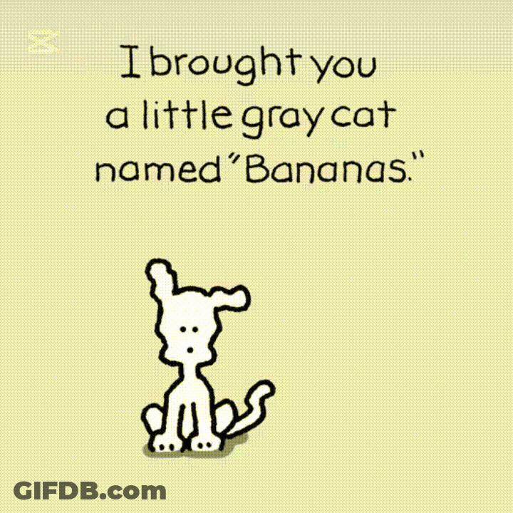 Gray Cat Named Bananas GIF