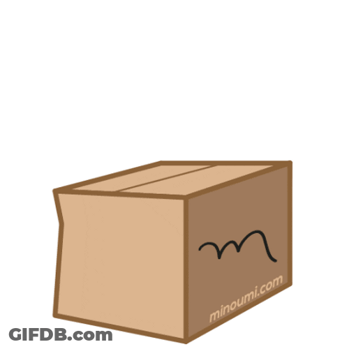 Gray Cat Peeking Out From The Box GIF