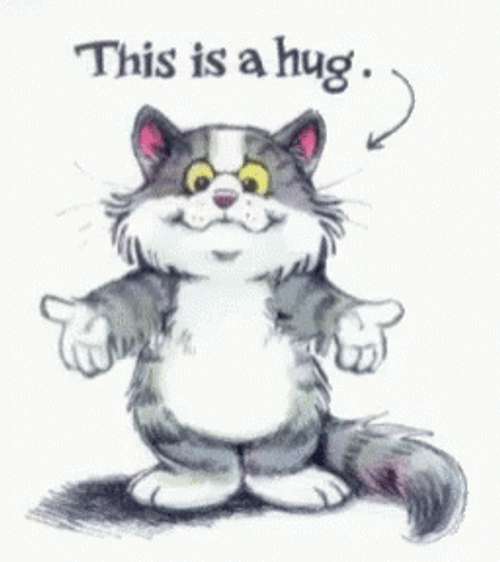 Gray Cat Thinking Of You Sympathy GIF