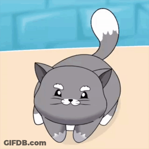 Gray Cat With White Paws And White Tail GIF